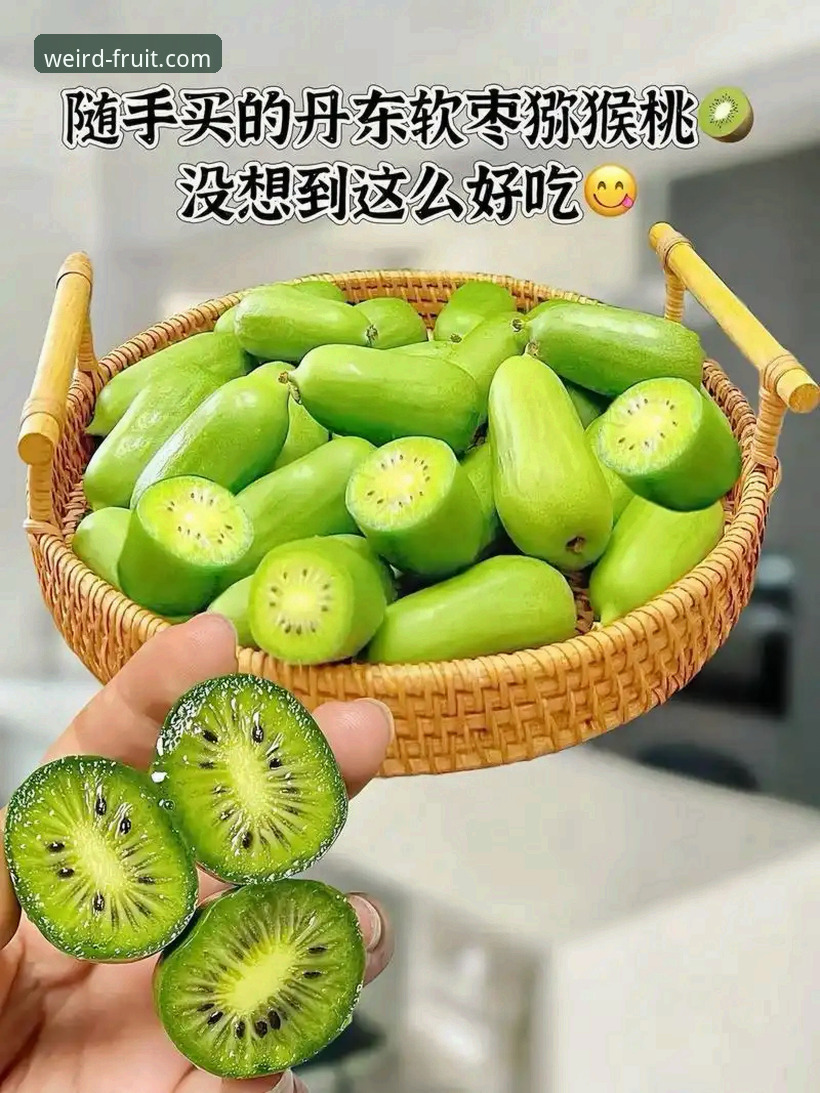奇异果体育登录 奇异果体育平台最新动态:登录体验全面升级,一站式体育服务再添新亮点