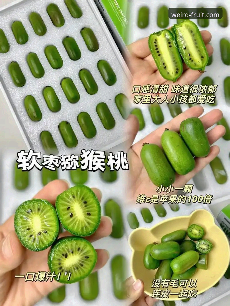 奇异果体育平台iOS下载安全使用指南